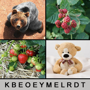 4 Bilder 1 Wort - 1385294733