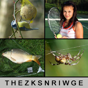 4 Bilder 1 Wort - 1385298958