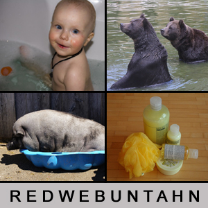 4 Bilder 1 Wort - 1386834119