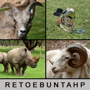 4 Bilder 1 Wort - 1386836156
