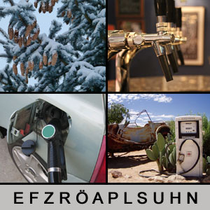 Quiz des Tages