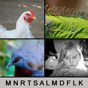 4 Bilder 1 Wort - 1388159123