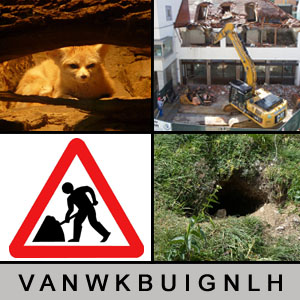Quiz des Tages