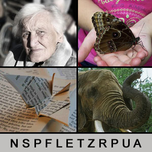 4 Bilder 1 Wort - 1390753855