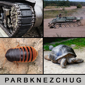 Quiz des Tages