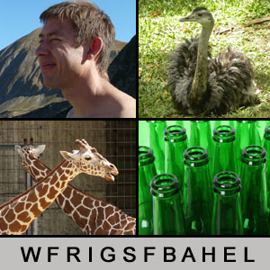 Quiz des Tages