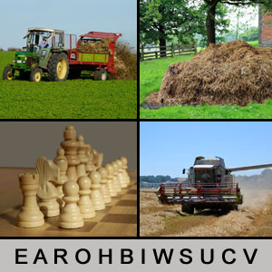 4 Bilder 1 Wort - 1392909812