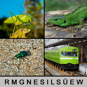 Quiz des Tages