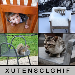 Quiz des Tages