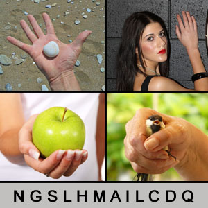 4 Bilder 1 Wort - 1392913004
