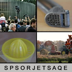Quiz des Tages