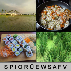 4 Bilder 1 Wort - 1392990853