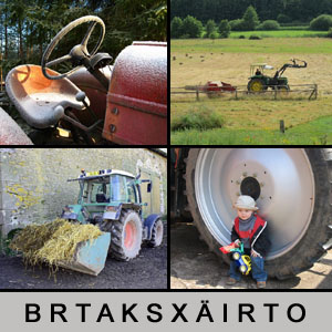 4 Bilder 1 Wort - 1396623781