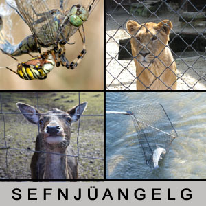 Quiz des Tages