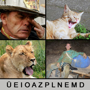 Quiz des Tages