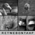 4pics1word - 1386835776_thumbnail