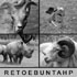 4pics1word - 1386836148_thumbnail