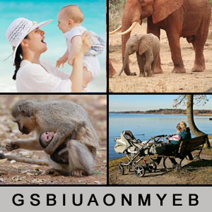 4 Pics 1 Word - 1393082256