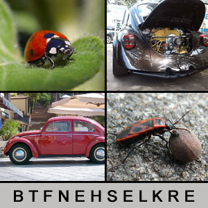 4 Pics 1 Word - 1393091461