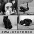4pics1word - 1396724852_thumbnail
