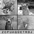 4pics1word - 1396726515_thumbnail