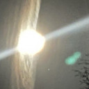 Avatar 51533